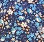 MOTIF B