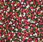 MOTIF C